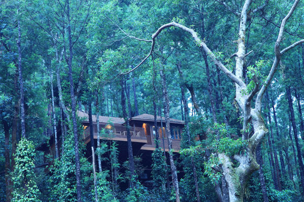 hidden stay hotel