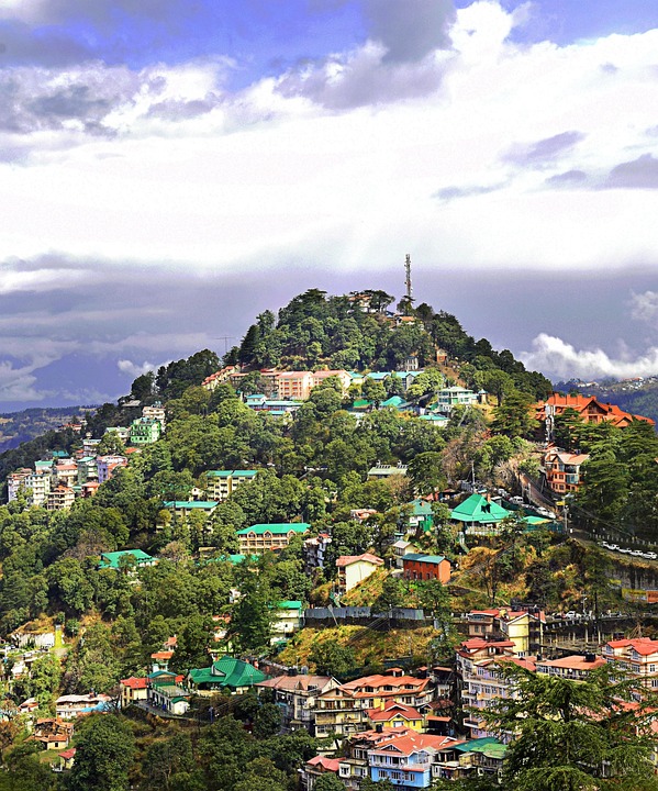 shimla